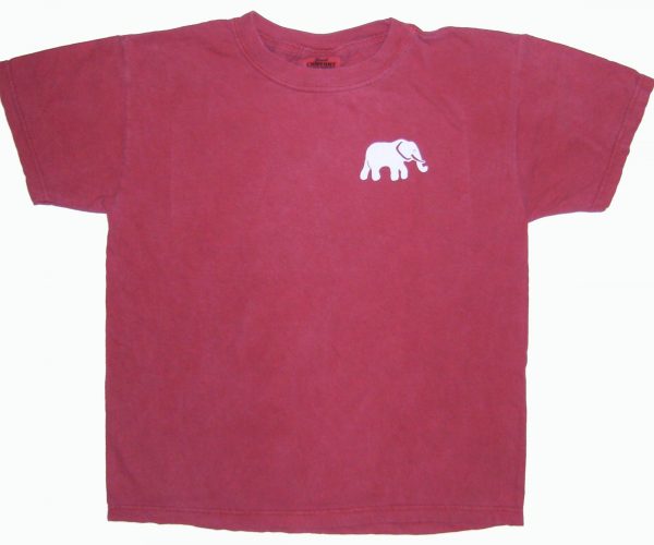 Comfort Colors Youth Elephant T-Shirt