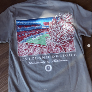 Grey Dixieland Delight Alabama T-Shirt