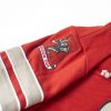 '47 Brand Standing Elephant/ Vault "A" Retro Hoodie - Image 3